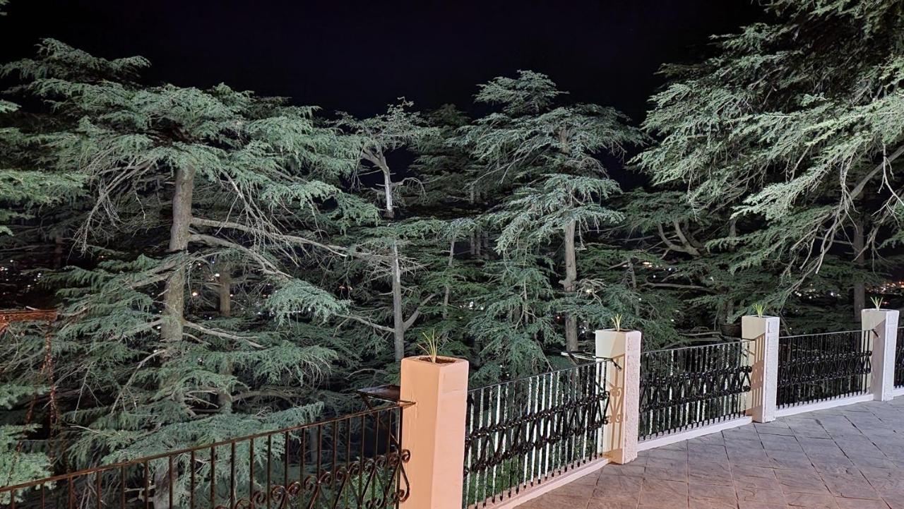 Glen View Heritage Homestay Shimla Ngoại thất bức ảnh