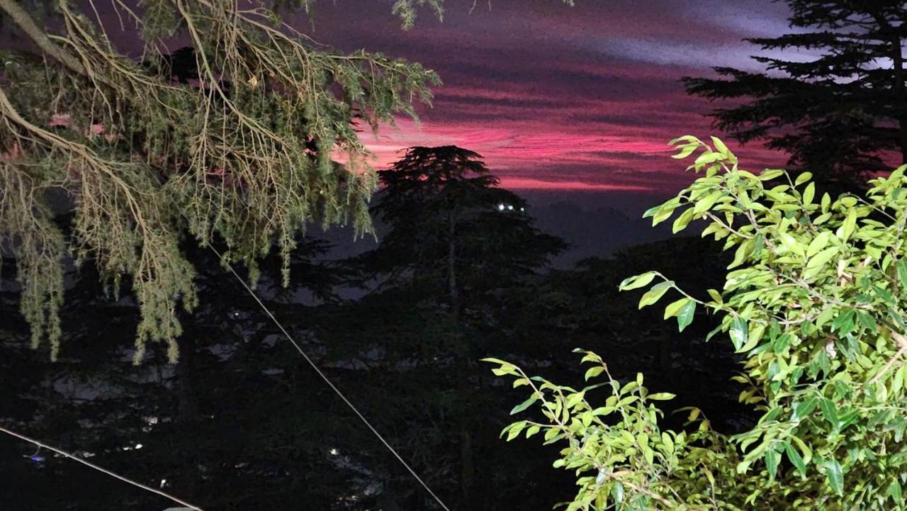Glen View Heritage Homestay Shimla Ngoại thất bức ảnh