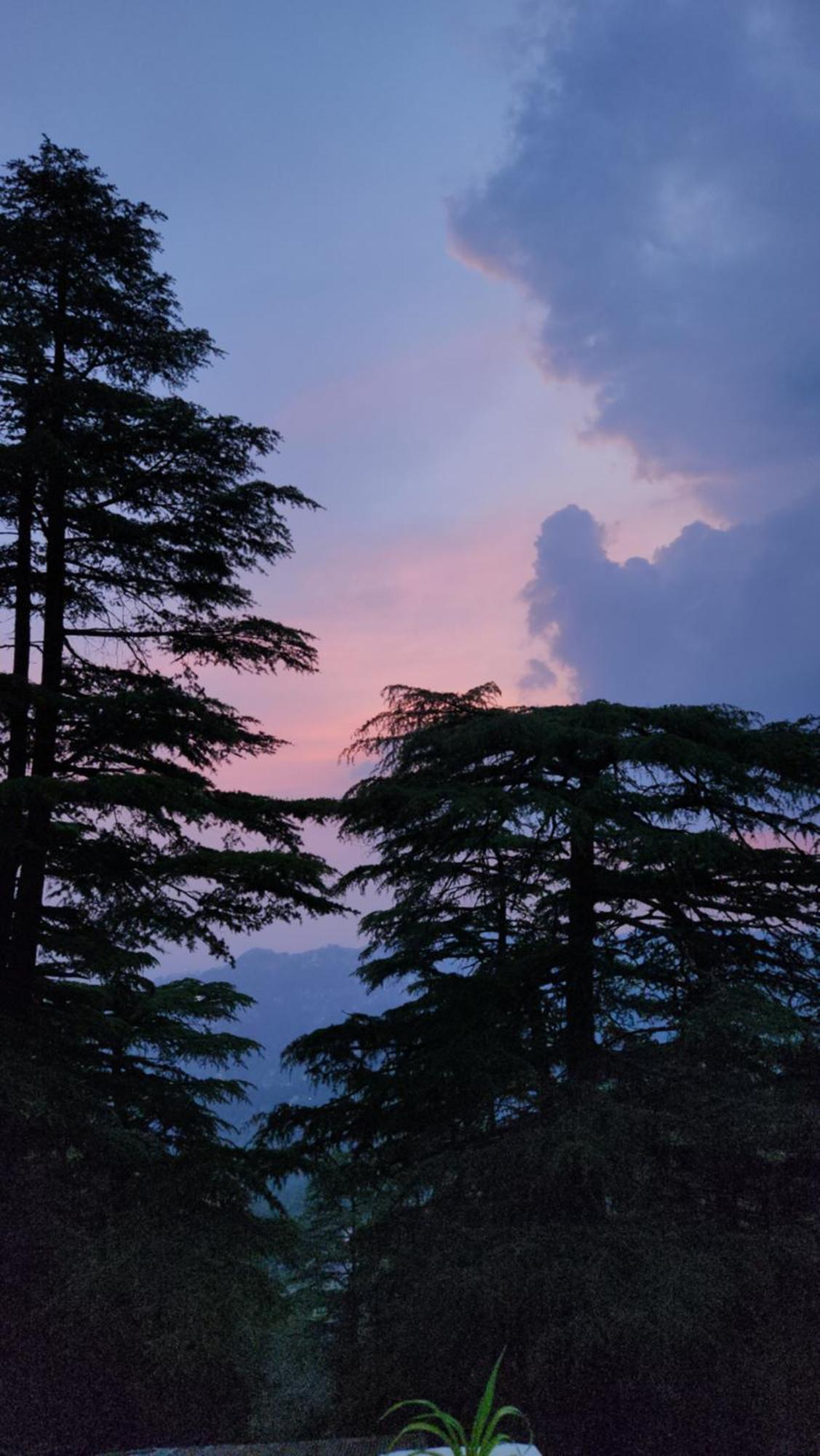 Glen View Heritage Homestay Shimla Ngoại thất bức ảnh