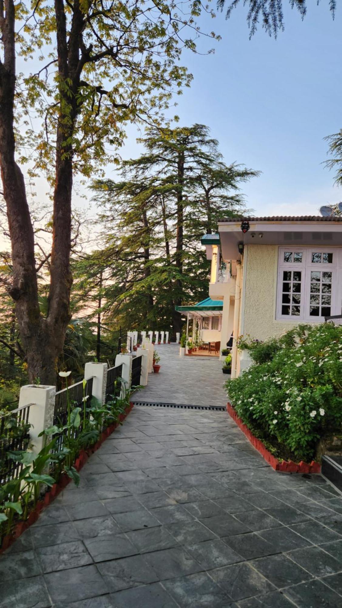 Glen View Heritage Homestay Shimla Ngoại thất bức ảnh