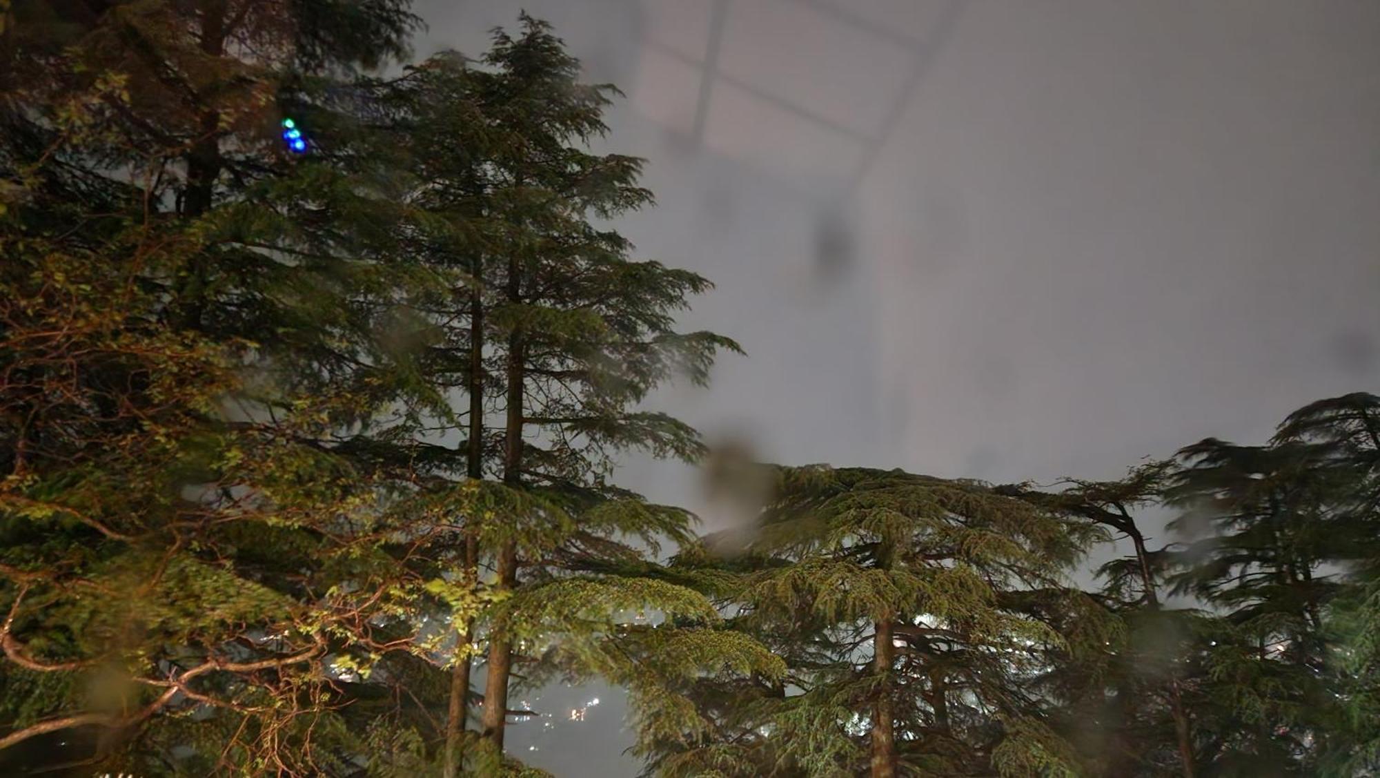 Glen View Heritage Homestay Shimla Ngoại thất bức ảnh