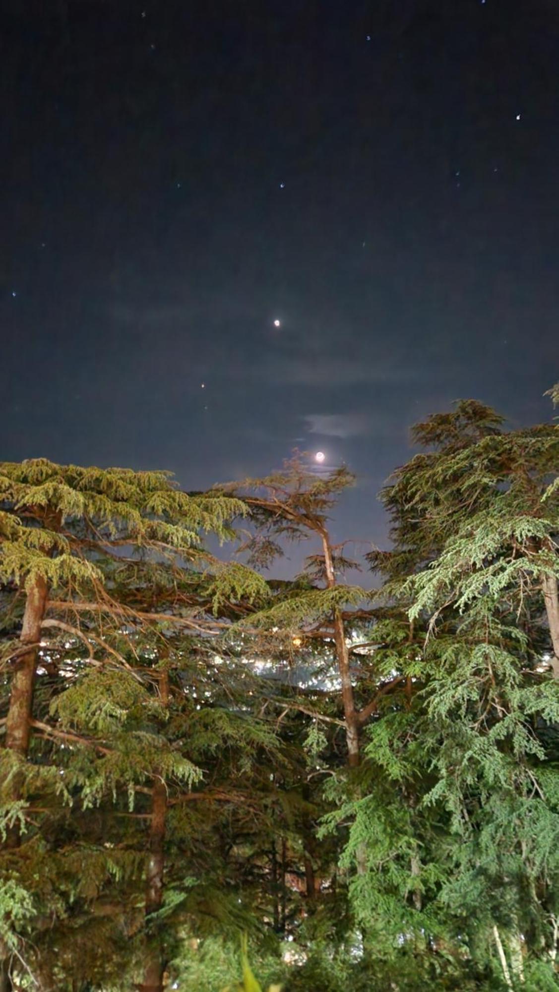 Glen View Heritage Homestay Shimla Ngoại thất bức ảnh